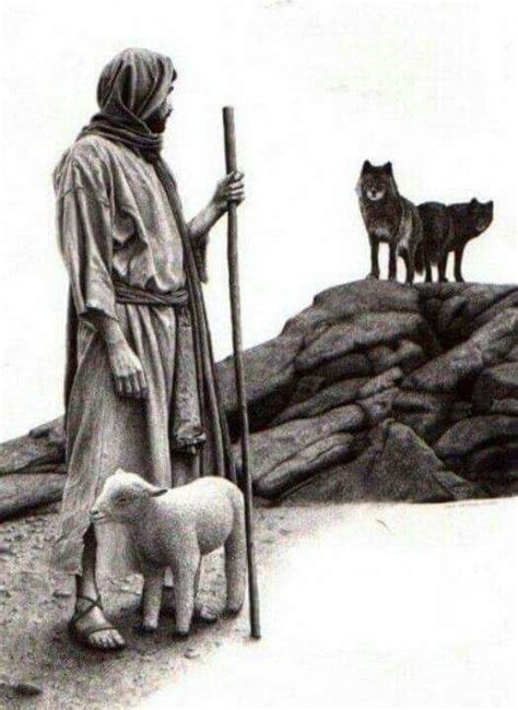 Shepherd Lamb Wolf The Good Shepherd Lord Is My Shepherd Jesus Art