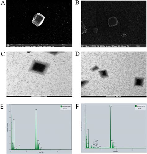 Dual Emissive Ratiometric Fluorescent Nanosensor Based On Multi