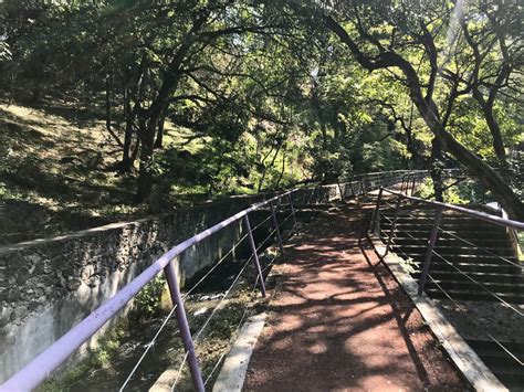 Anuncian rehabilitación de áreas en Parque Barranca Chapultepec de