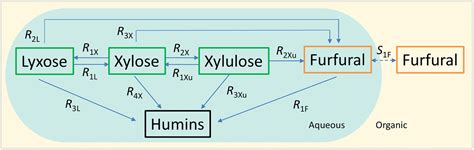 Insights Into The Reaction Network And Kinetics Of Xylose Conversion