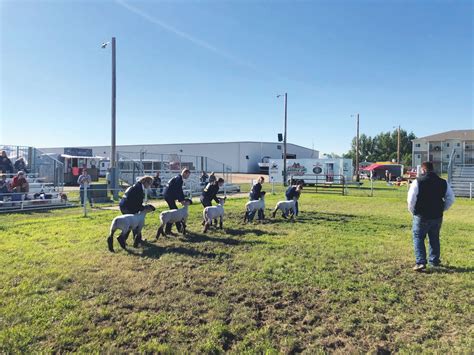 Watford City FFA Livestock Show Open To FFA Members From Any Chapter