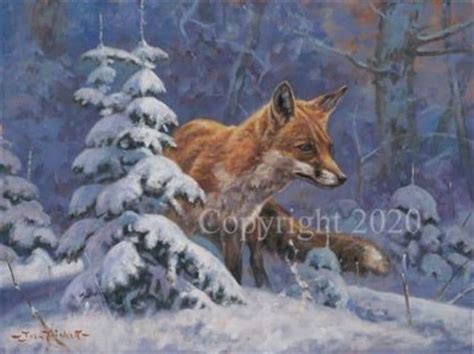 Fox Blank Greetings Card Charlie In The Snow By John Trickett C620