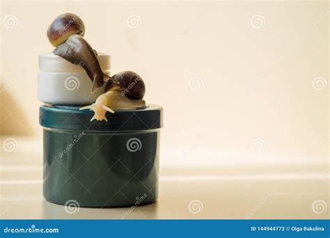 Two Achatina Snails And Cosmetics On The Light Background Extreme