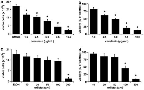 Fasn Inhibitors Reduce B F Melanoma Cell Viability B F Cells