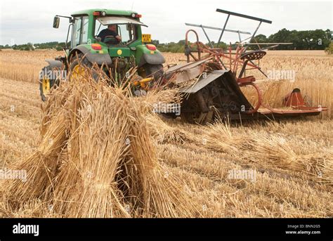 Stook corn hi-res stock photography and images - Alamy