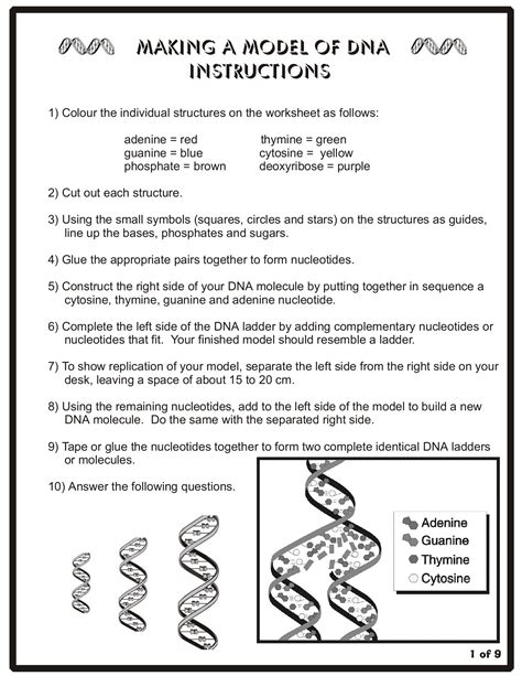 Dna Structure Worksheet Answer Key English Worksheet