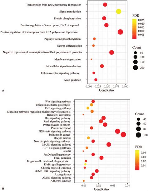 Function Enrichment Analysis For Target Genes Of Differentially Download Scientific Diagram