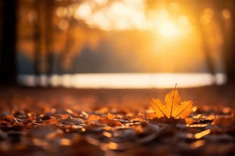 Vue des feuilles d automne sèches tombées sur le trottoir de la rue