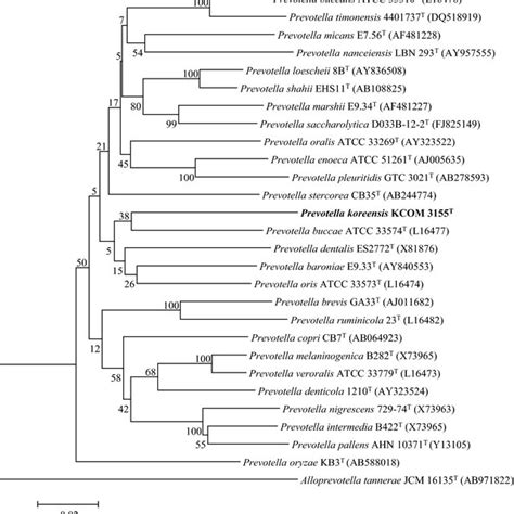 Neighbor Joining Phylogenetic Tree Based On 16S RDNA Sequences Showing