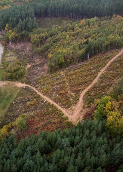 Septembre 2022 Coupes rases le PNR Morvan attaque lÉtat