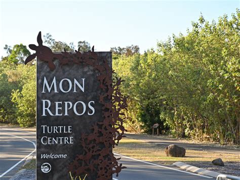 Mon Repos Turtle Centre Project ODS