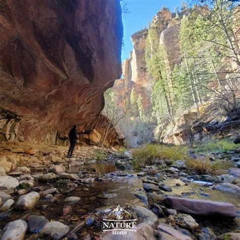 How To Get The Most Out Of The West Fork Trail In Sedona