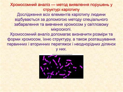 Каріотип людини та його особливості. Хромосомний аналіз - презентация ...