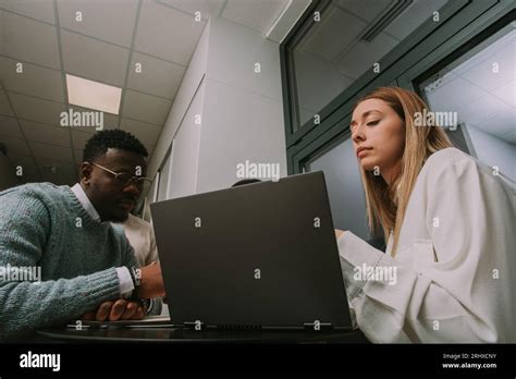 Lovely Blonde Female Struggling With Her Daily Task At Work Her Black Male Colleague Is Helping