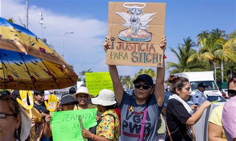 Marchan Unas Personas En La Costera Para Exigir Penas Contra El