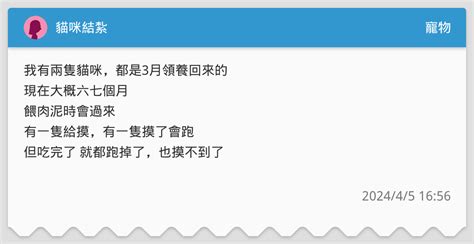 貓咪結紮 寵物板 Dcard