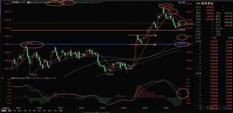 2月5日現貨黃金、白銀、原油、外匯短線交易策略 每日頭條