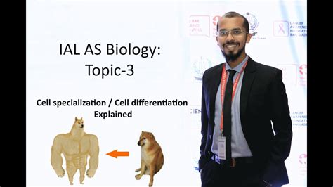 Ial Biology Cell Specialization Cell Differentiation Explained Youtube