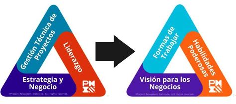 Tri Ngulo De Talento Del Pmi Opm Integral