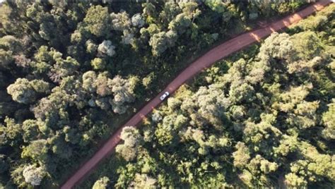 Misiones lidera a nivel nacional el modelo de conservación de bosques