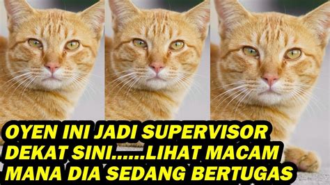 OYEN INI JADI SUPERVISOR DEKAT SINI LIHAT MACAM MANA DIA SEDANG