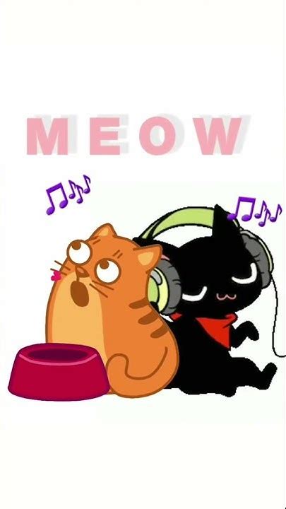 Best Kitty Cat Song 🐱🐱🐱 Youtube