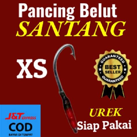 Pancing Belut Sawah Kail Urek Belut Model SANTANG XS Pancing Ikan Belut