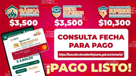 Tu pago está listo consulta tu saldo en las próximas horas y