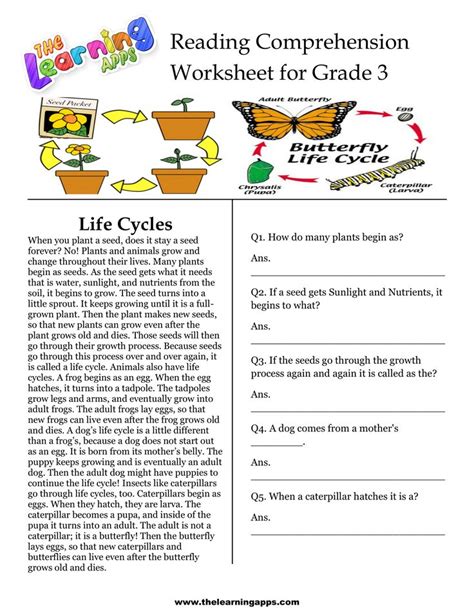 Third Grade Reading Activities