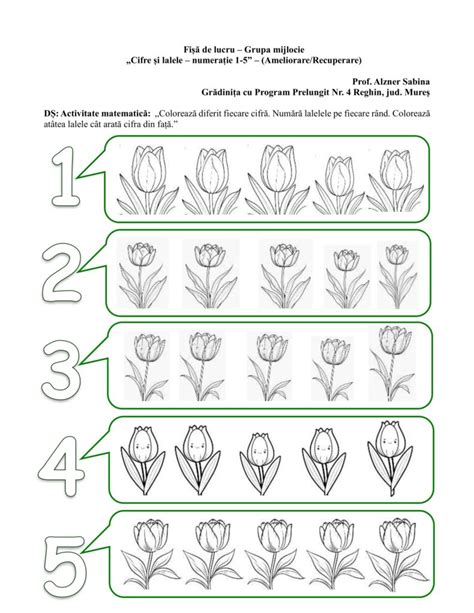 Academiaabc Fi De Lucru Grupa Mijlocie Cifre I Lalele Numera Ie