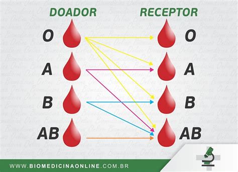 Doadores E Receptores De Sangue
