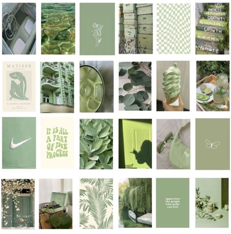 Pcs Sage Green Aesthetic Wall Collage Kit X Inches Etsy