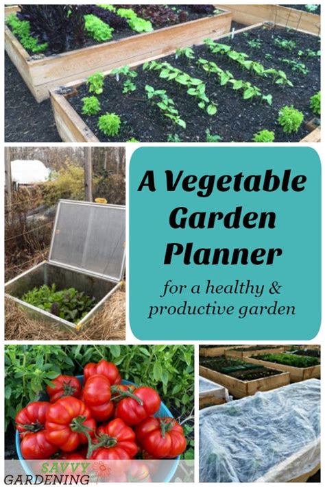 A Vegetable Garden Planner for High Yields & Healthy Plants