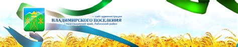 Полномочия, задачи и функции