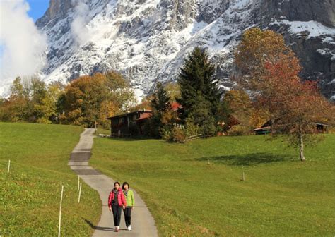 From Zürich Private Day Trip to Interlaken and Grindelwald GetYourGuide