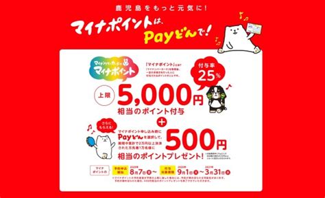 Payどんぺいどん マイナポイントの申込み、開始日、特典、還元率、事前登録、特設サイトなどについて｜マイナポイントとは？