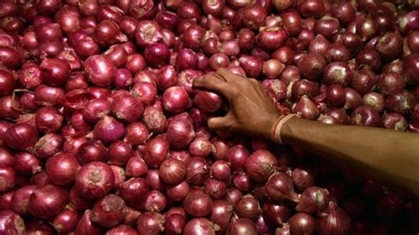 India Eases Onion Export Restrictions To Uae And Bangladesh Through Ncel