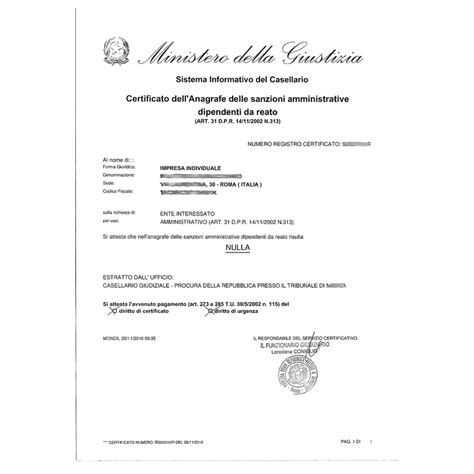 Richiedi Ora Certificato Dell Anagrafe Delle Sanzioni Amministrative