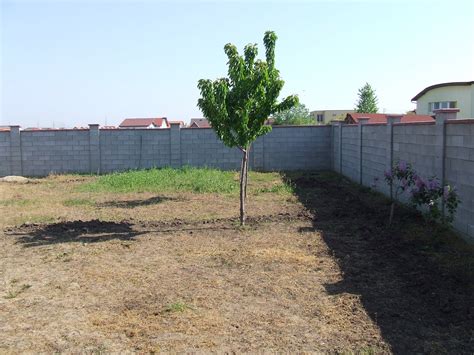 Amenajarea Gradinii De Langa Casa In Articole Si Imagini Erbicidarea