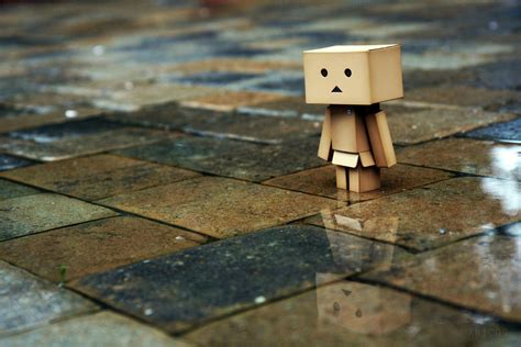 Danbo Papel De Parede HD Plano De Fundo 3332x2221 ID 557643