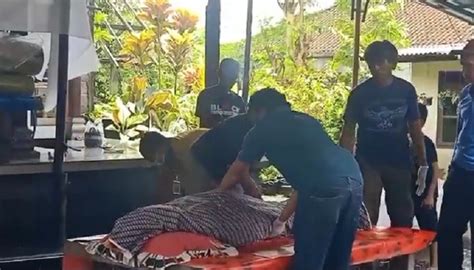 Diserang Anjing Peliharaan Perempuan Di Bali Tewas Diduga Terpapar Rabies