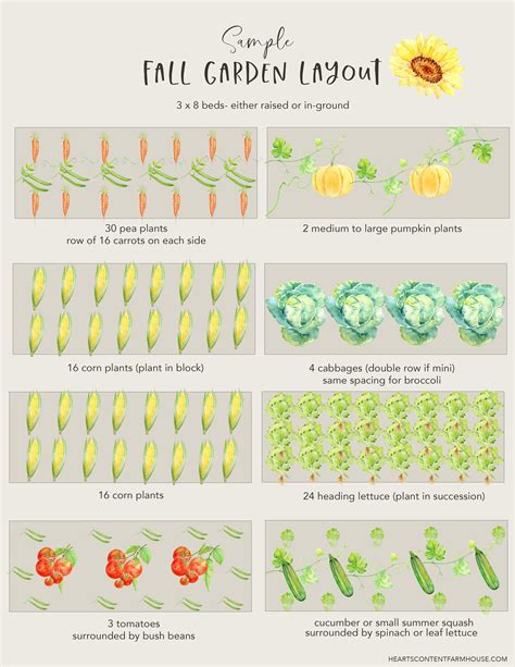 fall garden 3