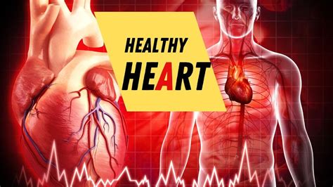 Lifestyle For A Healthy Heart Healthy Heart Lifestyle Youtube