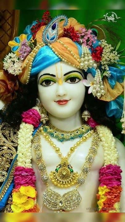 💞 Shri Krishna Govind Hare Murari 💞 Hey Nath Narayan 💞 Short Status