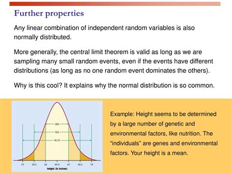 Ppt Sampling Distributions For Sample Means Powerpoint Presentation