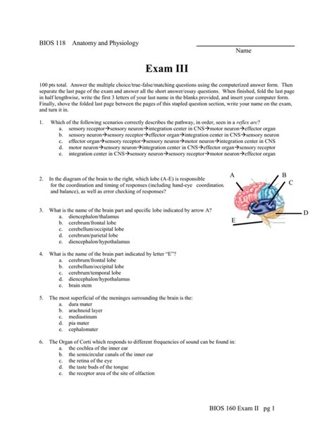 Exam III BIOS 118 Anatomy And Physiology Name