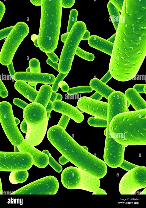 Bacteria Hi Res Stock Photography And Images Alamy