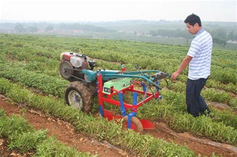 Mini Potato Digger/hand Tractor Potato Ginger Harvester Mini Potato ...