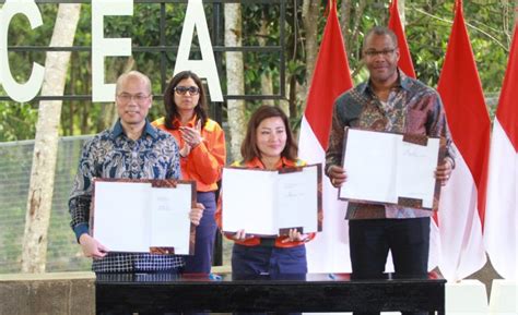 Pt Vale Indonesia Dan Huayou Tandatangani Perjanjian Nikel Dengan Ford