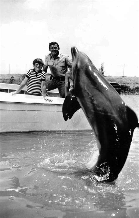 17 Best images about flipper tv show on Pinterest | Flip tv, Miami and ...